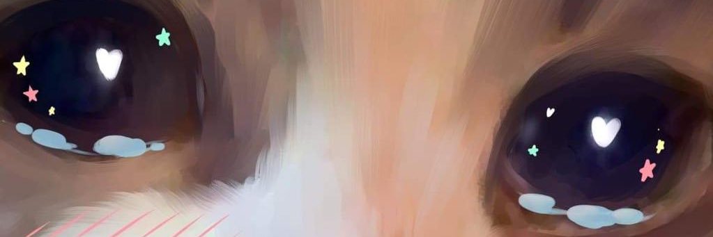 duneyazade's profile banner image