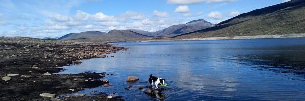 Dr Nicci Potts banner