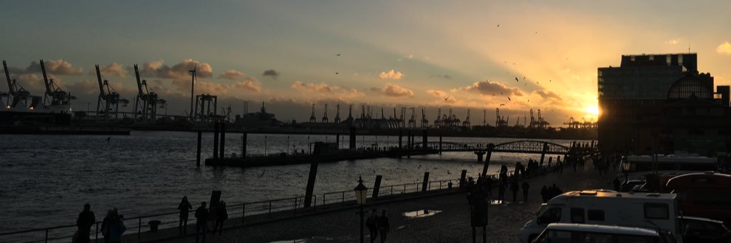 piratelove_de's profile banner image