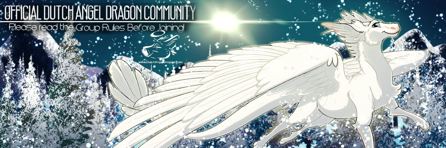 🌻Dutch Angel Dragons🌻 banner