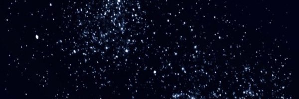 ElliKoestinger Profile Banner