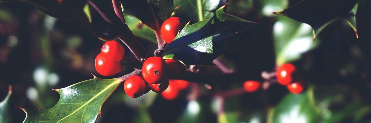 GrowingEvents's profile banner image