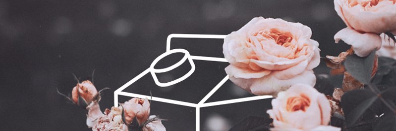 MilkyFella's profile banner image