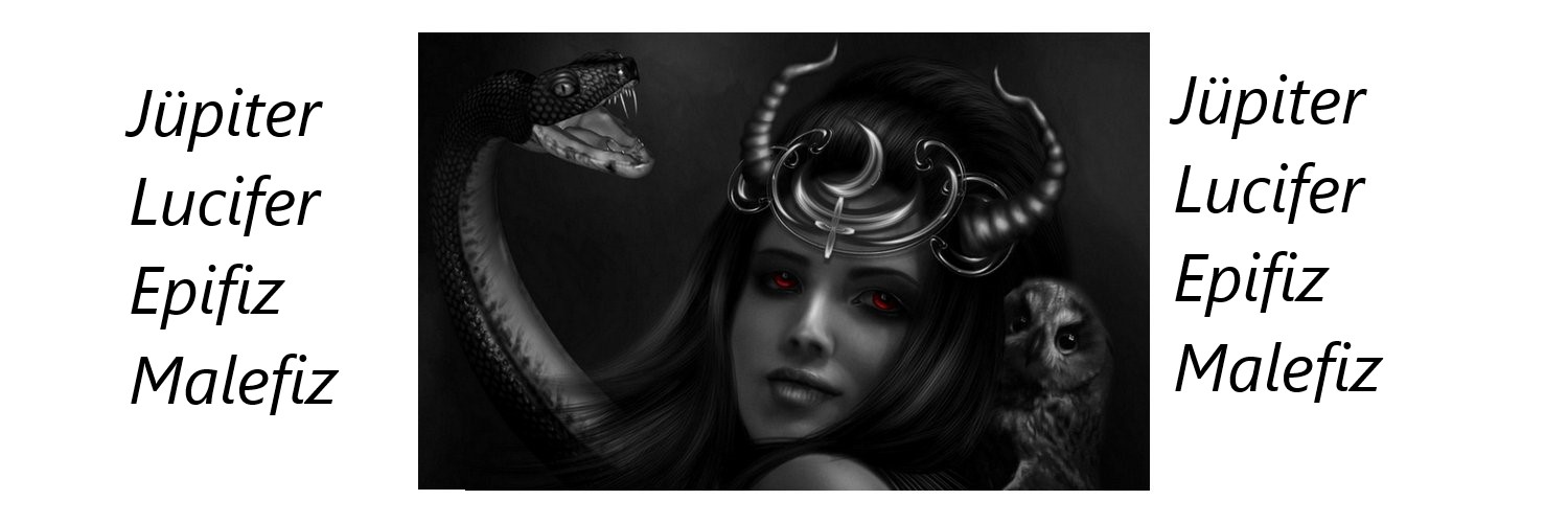 liteloris's profile banner image