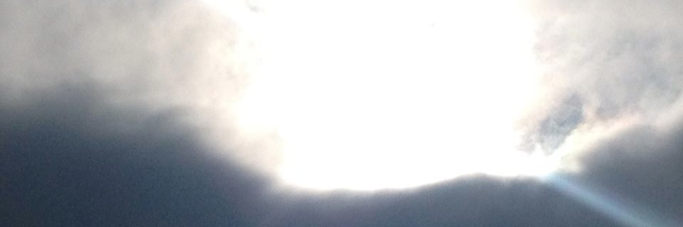 FieryPhoenixFox's profile banner image