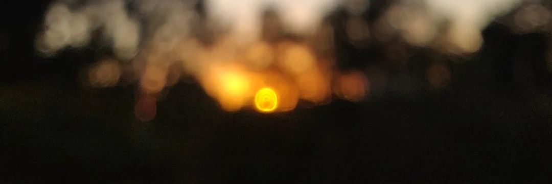 Vasconcelos1069's profile banner image