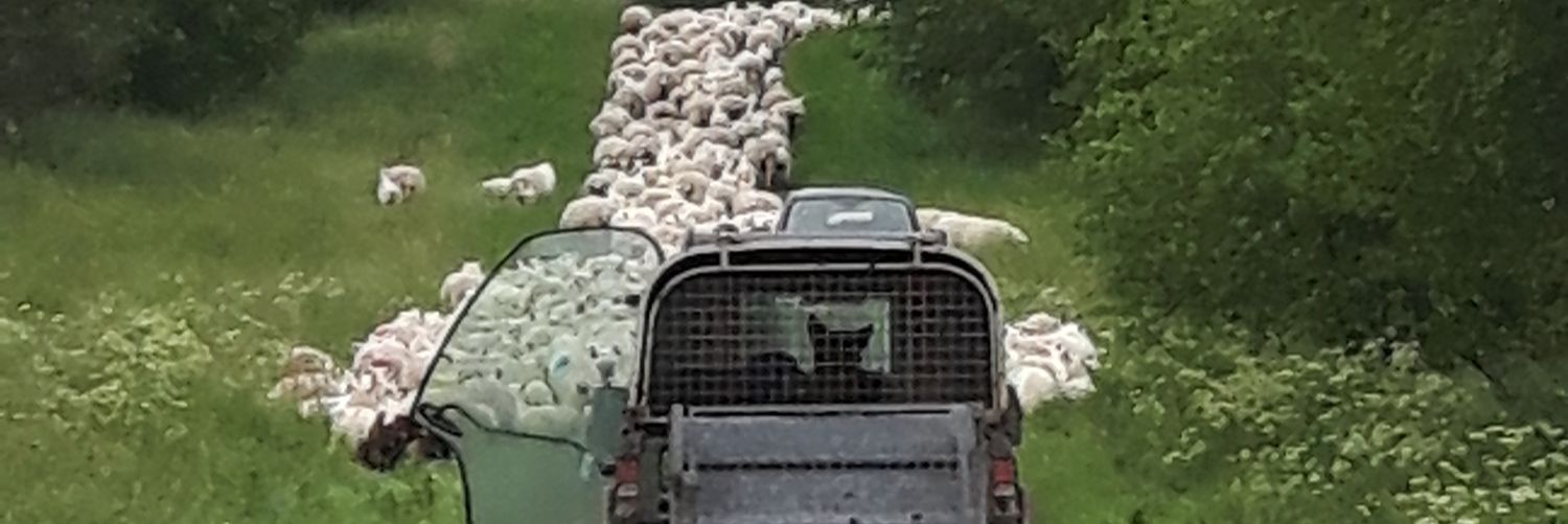 Upper Eden Visitor Centre & Community Interest Co. banner