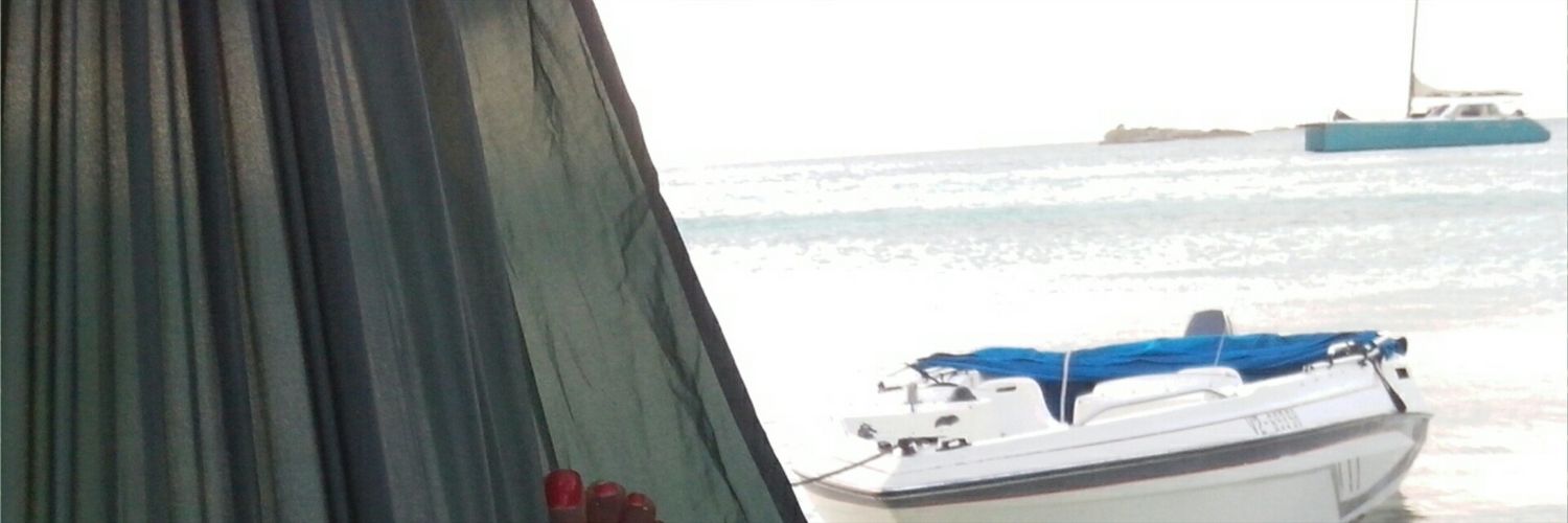 raeofme's profile banner image