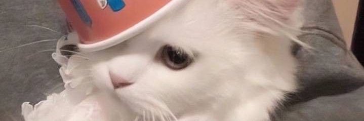 Ayeitsskai's profile banner image