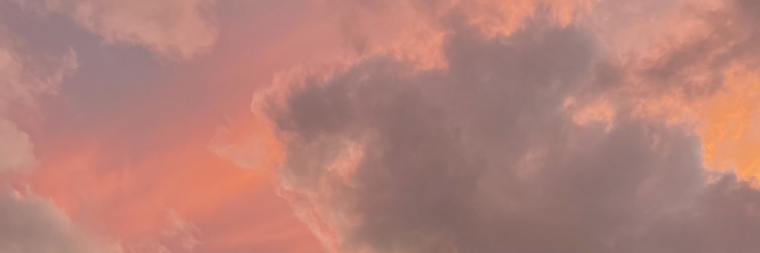 ravensorcrows's profile banner image