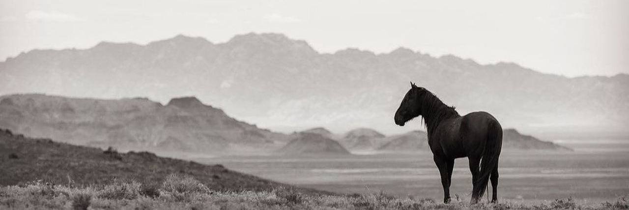 amargî🌾 banner