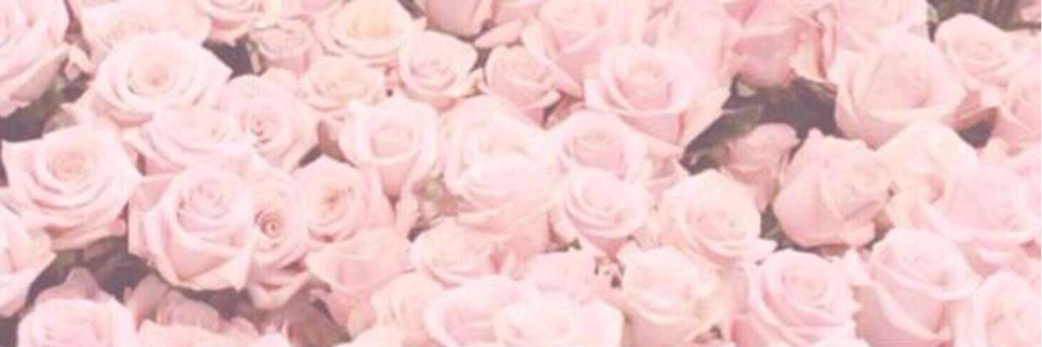 ___tg_shr's profile banner image