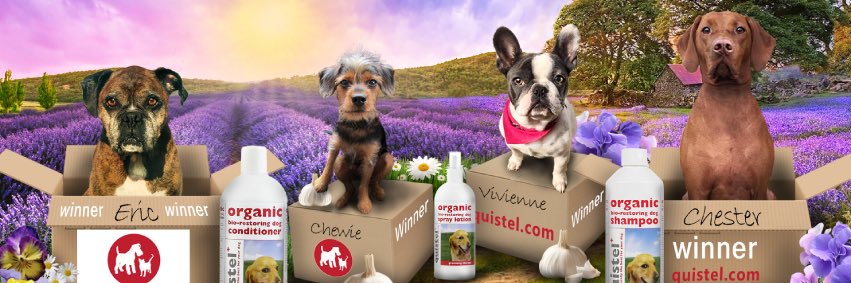 QuistelPets's profile banner image