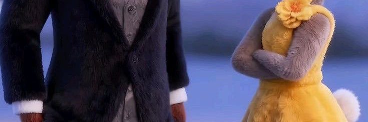 🦊 banner