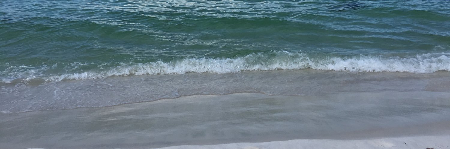 laltman55's profile banner image