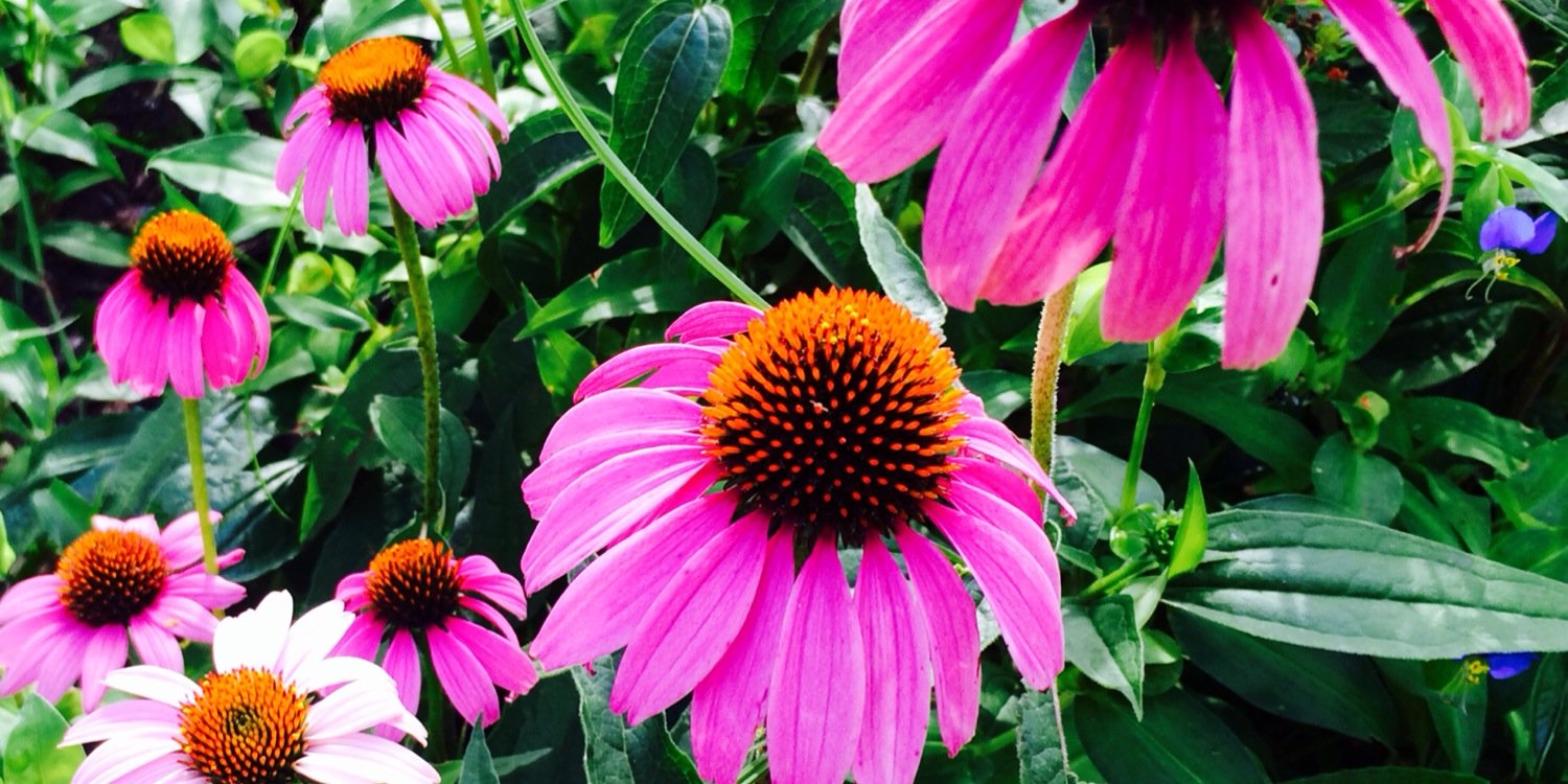 JanaShell's profile banner image