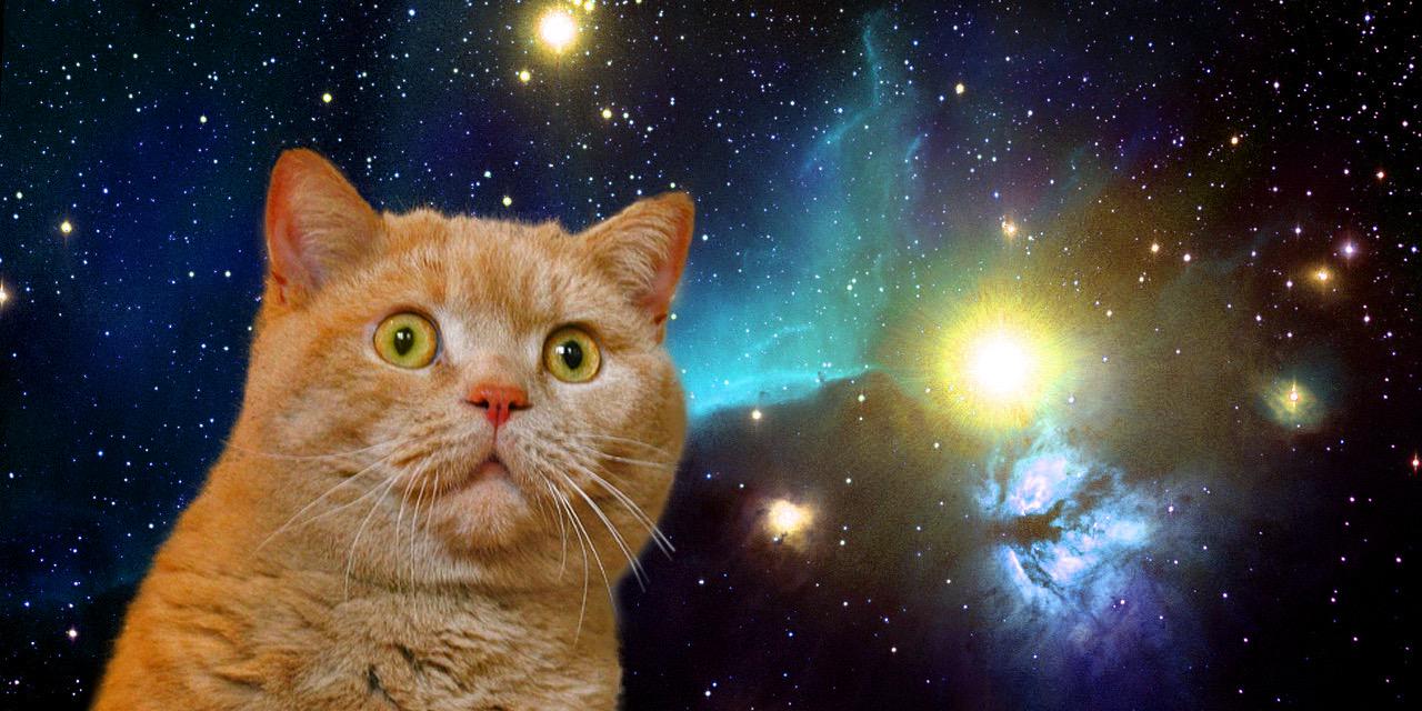 BakedVapes's profile banner image