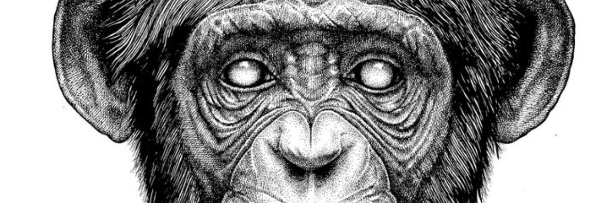 xraymonkey_eth's profile banner image