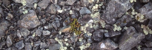 NorthernGeo Profile Banner