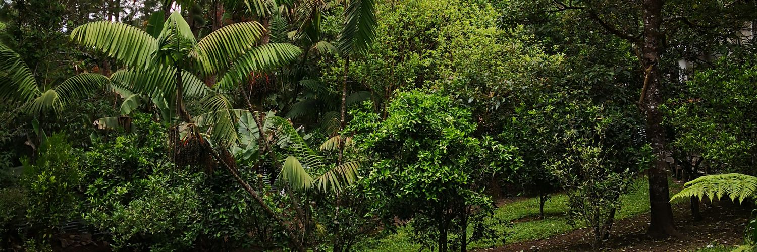 ilottor's profile banner image