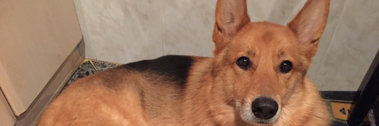 minkelito's profile banner image