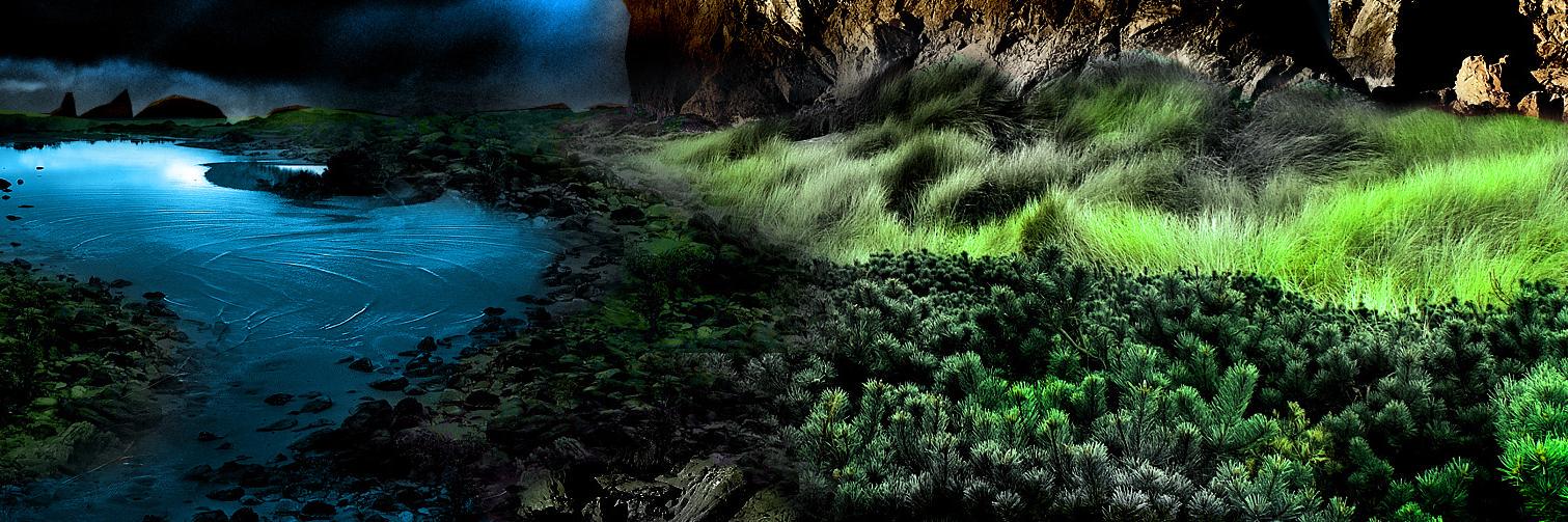 Graziano Cozzi banner