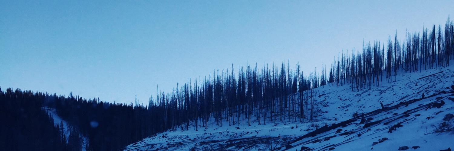 VesuviusMusic's profile banner image