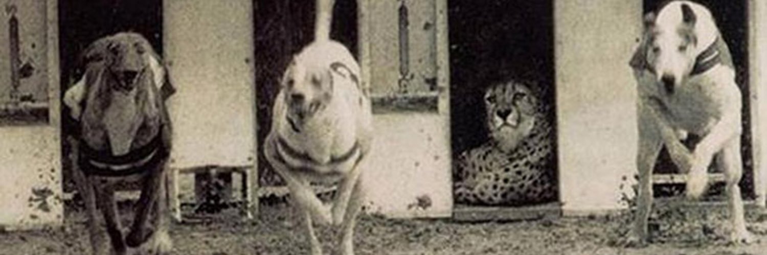 manny_ok1's profile banner image