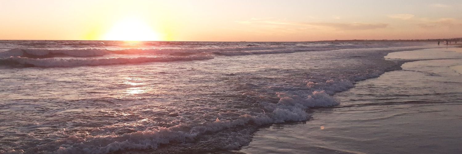 EscandellVan's profile banner image