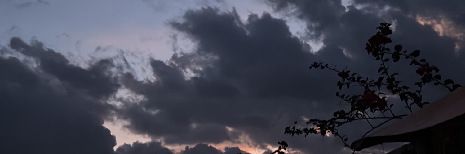 ralberto17's profile banner image