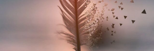 rose_peri's profile banner image
