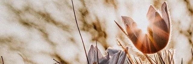 AB_Roshan88's profile banner image