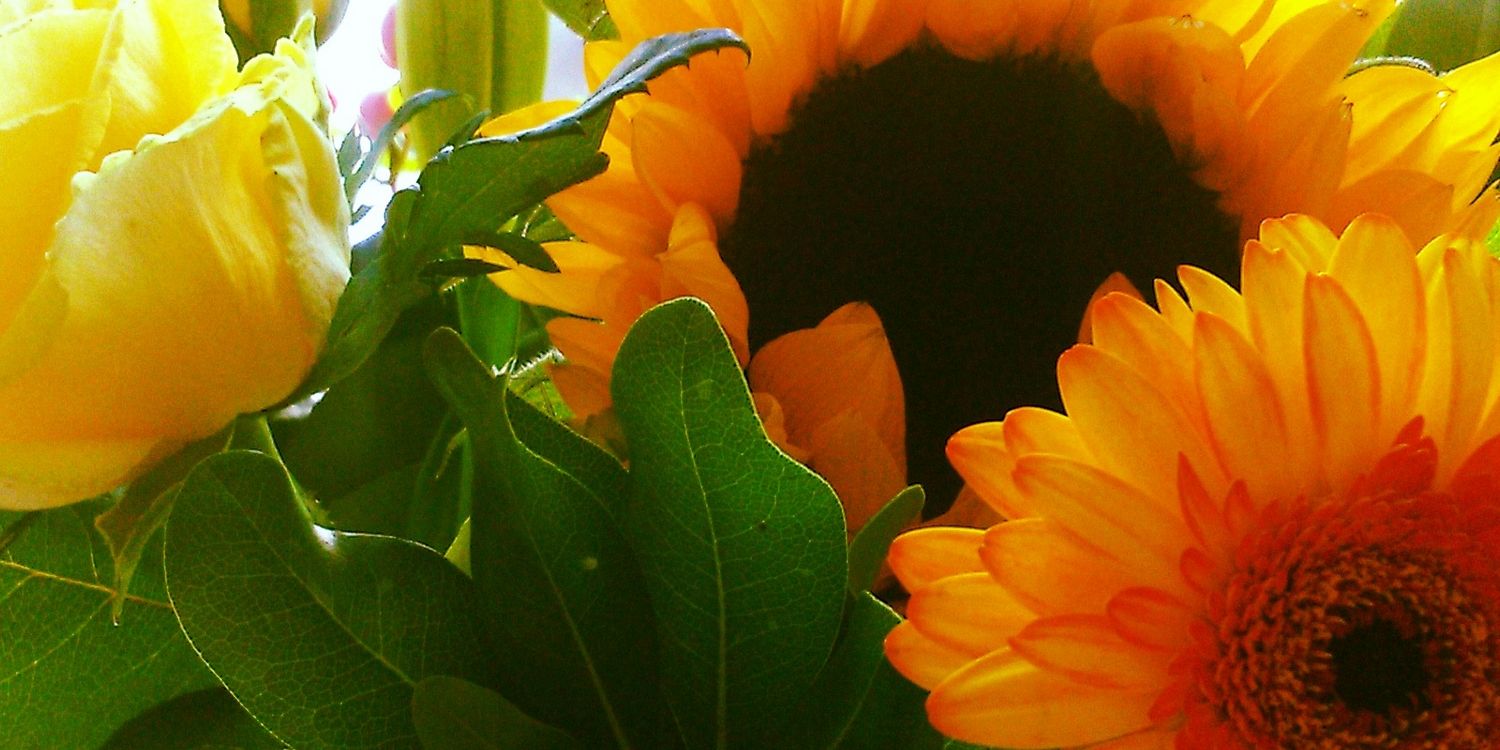 justjudeyoung's profile banner image