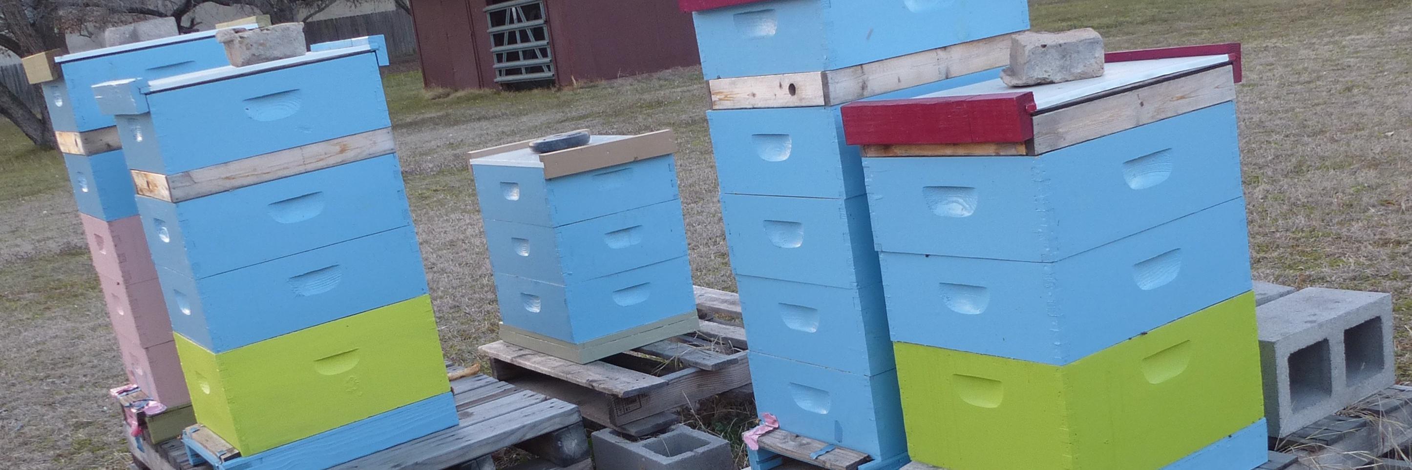 NottinghamBees's profile banner image