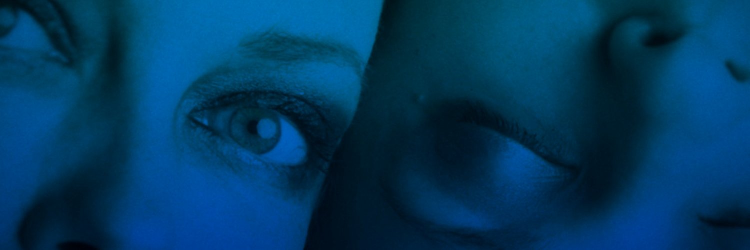 ScamAvenue's profile banner image
