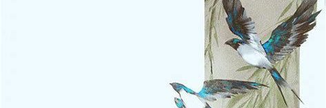EmoCheery's profile banner image