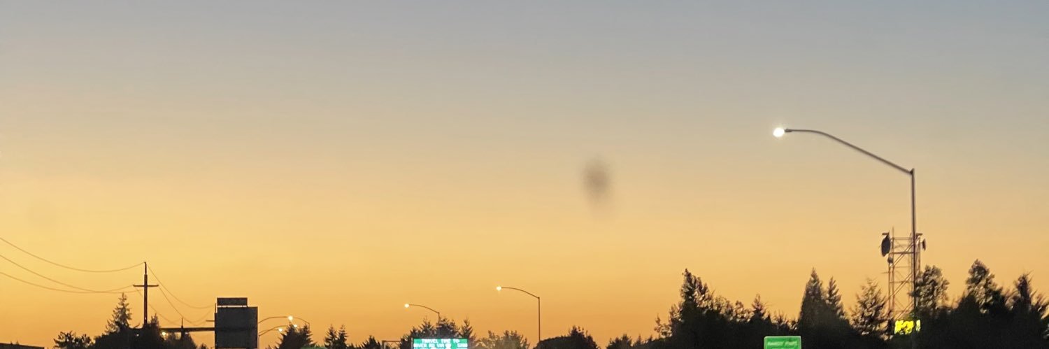 savmireles's profile banner image