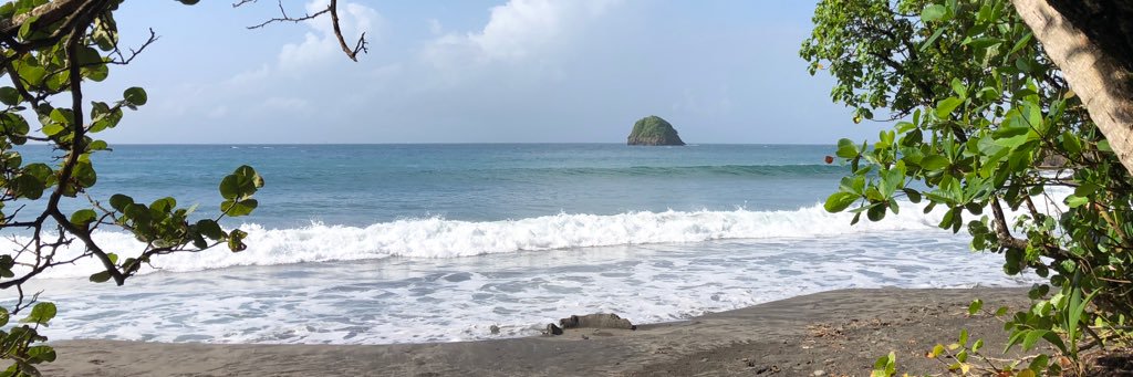 Sangita Chandra banner