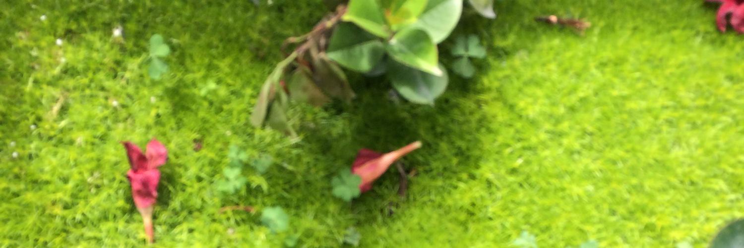 andreaperez3534's profile banner image
