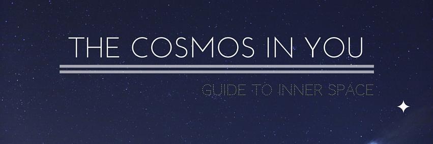 cosmosinyou's profile banner image