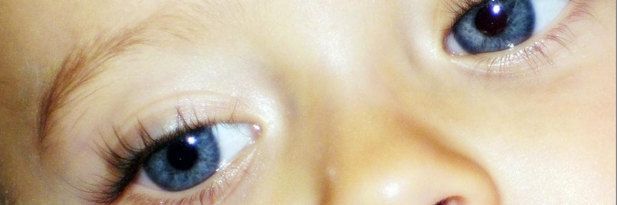 nicole_cc2's profile banner image