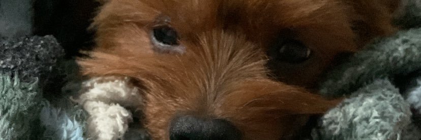 EcEBassow's profile banner image