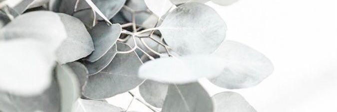 alicrists's profile banner image