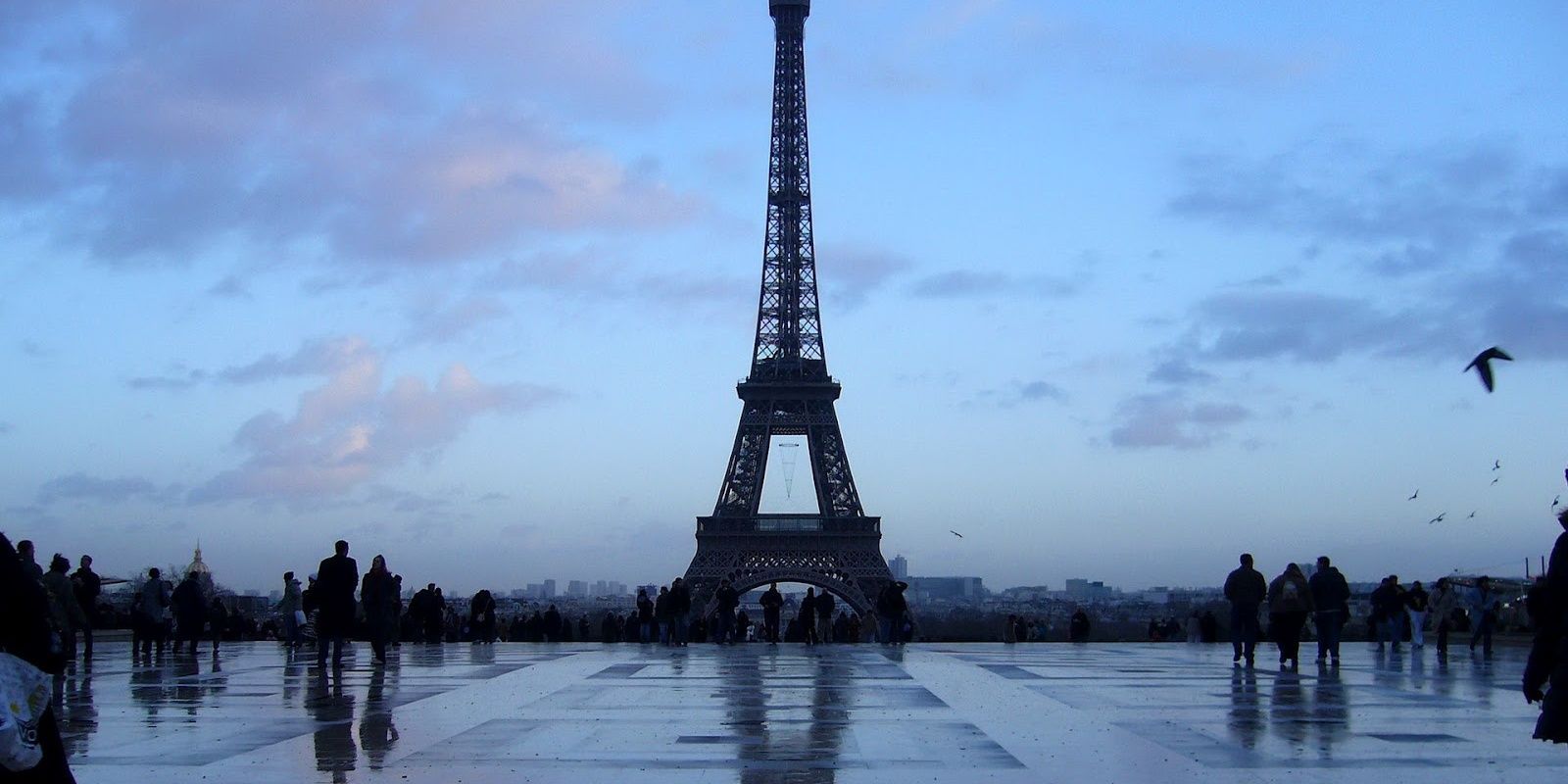 tamara_francois's profile banner image