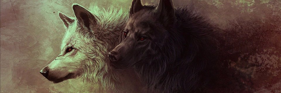 BotPokey's profile banner image