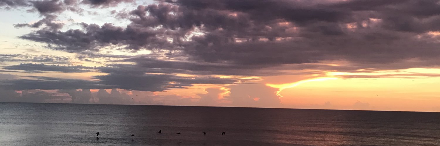 LabsRock1's profile banner image
