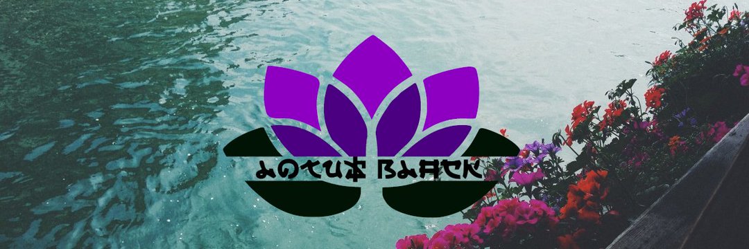 LotusDollaSign's profile banner image