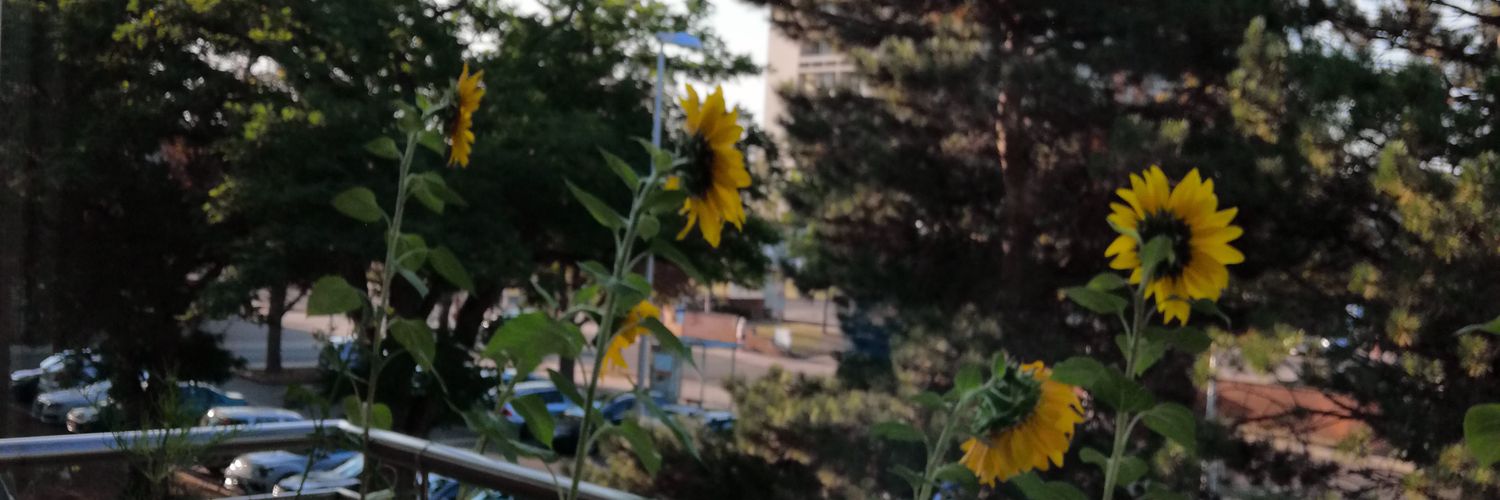 karooowo's profile banner image