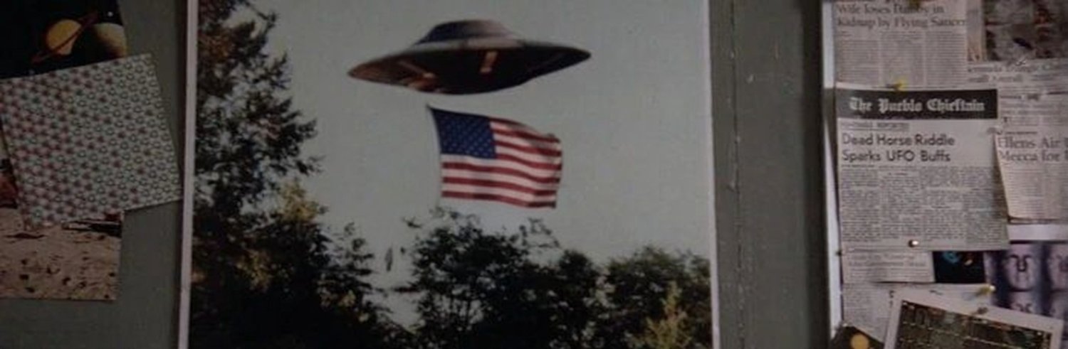 Agent Mulder banner