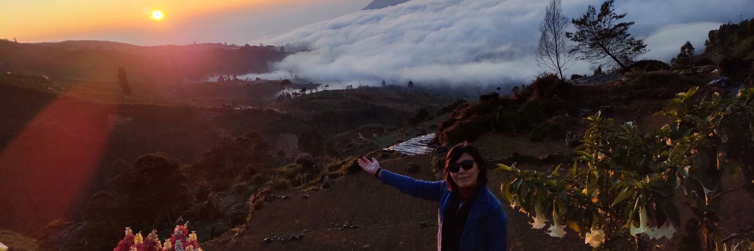 Vicella's profile banner image